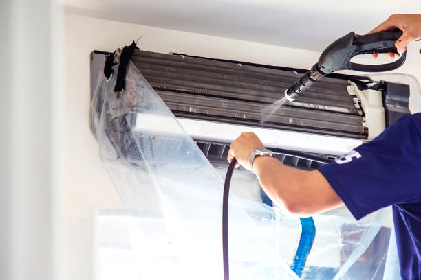 Best Air Duct Sanitizing Services  in Milford, IN
